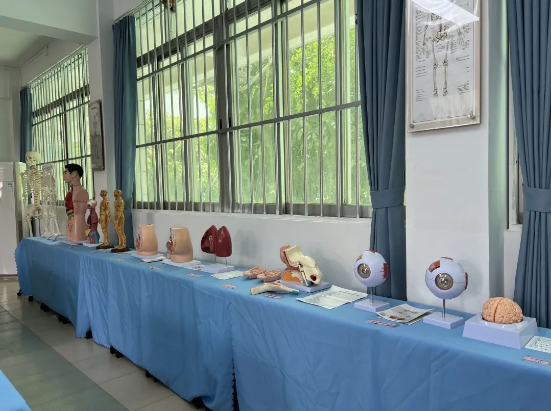 中医康复保健(图13)