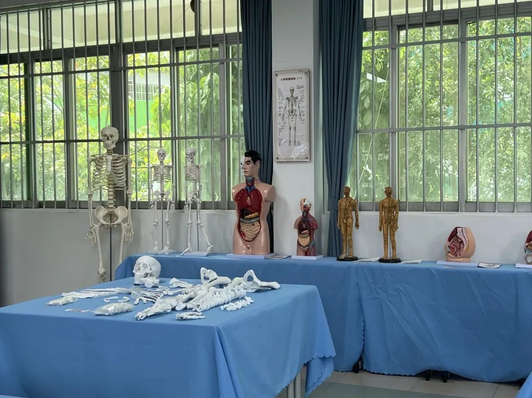 中医康复保健(图14)