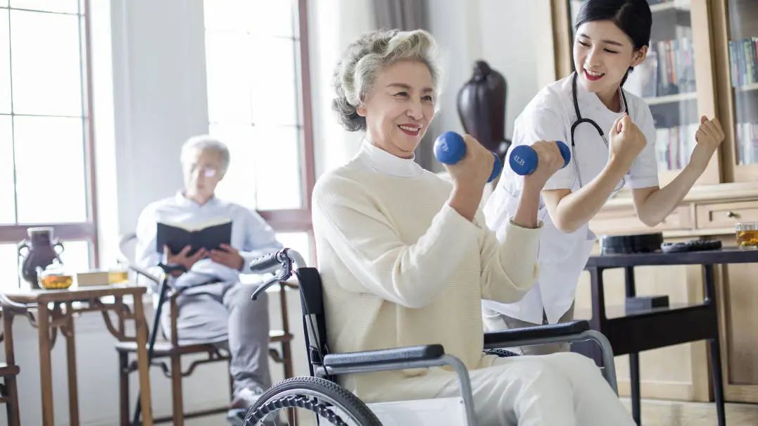 护理(图3) 护理(图3)